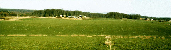 Photo of the art installation in a field